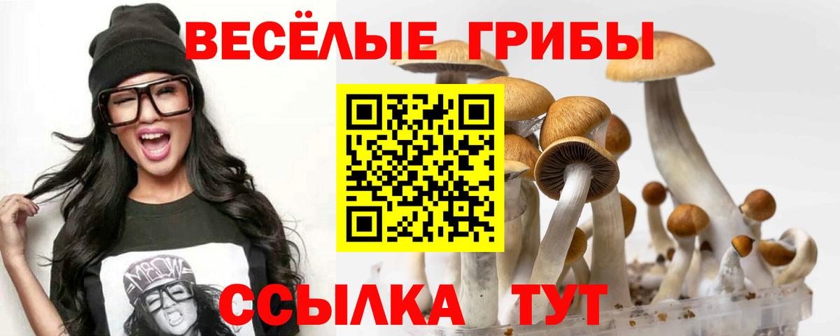 Пятигорск  Псилоцибиновые грибы MAGIC MUSHROOMS  Вход с VPN 